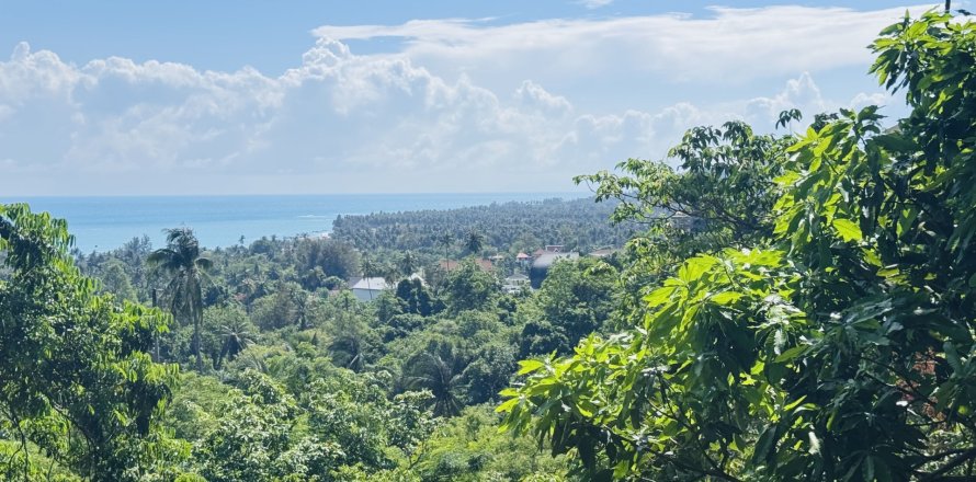 Terrain à Ko Samui, Thaïlande 11200 m2 № 156856