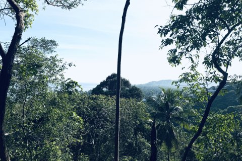 Terrain à Ko Samui, Thaïlande 11200 m2 № 156856 - photo 8