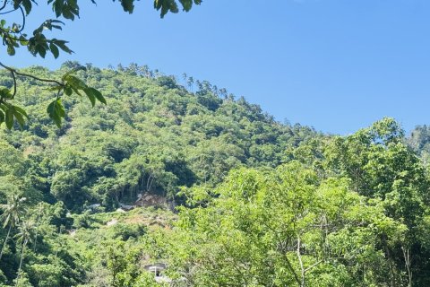 Terrain à Ko Samui, Thaïlande 11200 m2 № 156856 - photo 3