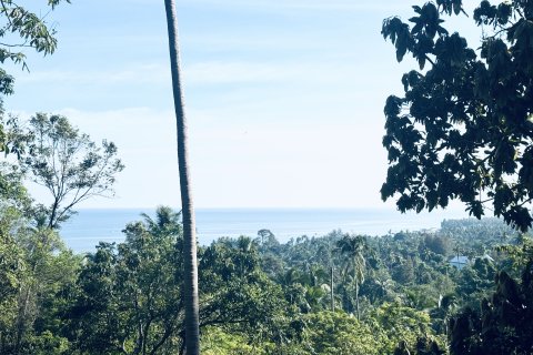 Terrain à Ko Samui, Thaïlande 11200 m2 № 156856 - photo 7