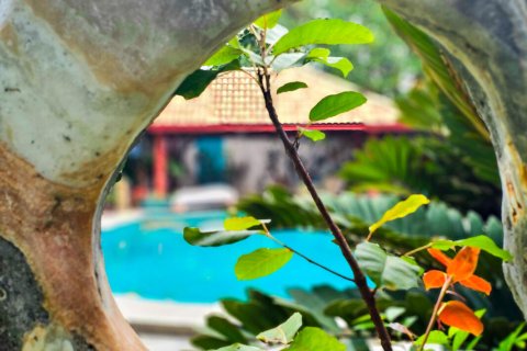 Villa in Hua Hin, Thailand 3 Schlafzimmer № 221852 - Foto 22