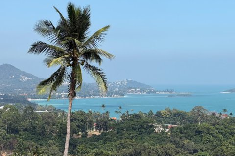 Land in Ko Samui, Thailand 1400 sq.m. № 154000 - photo 18