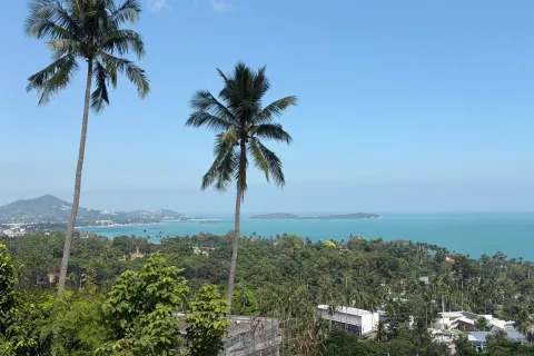 Land in Ko Samui, Thailand 1400 sq.m. № 154000 - photo 9