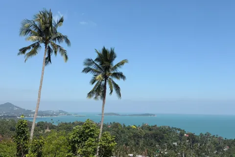 Land in Ko Samui, Thailand 1400 sq.m. № 154000 - photo 14