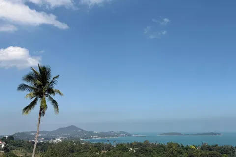 Land in Ko Samui, Thailand 1400 sq.m. № 154000 - photo 8