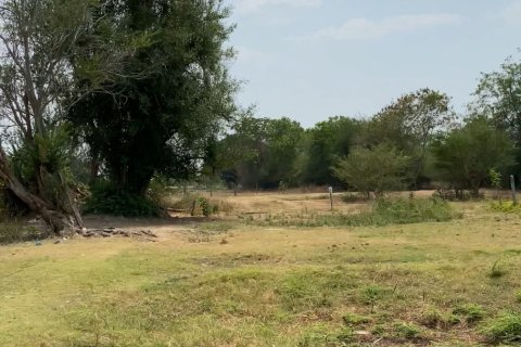 Land in Surin, Thailand 2728 sq.m. № 149145 - photo 3