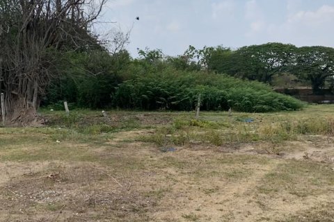 Land in Surin, Thailand 2728 sq.m. № 149145 - photo 5