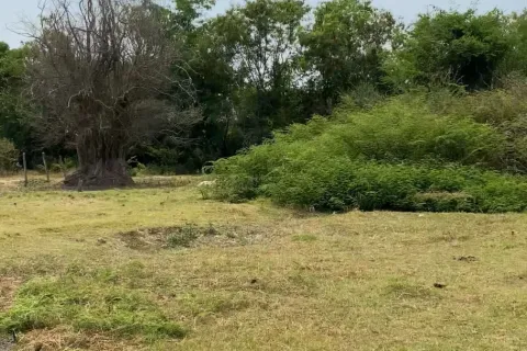 Land in Surin, Thailand 2728 sq.m. № 149145