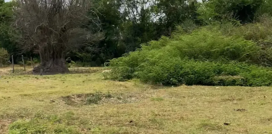 Land in Surin, Thailand 2728 sq.m. № 149145