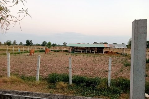 Land in Roi Et, Thailand 16000 sq.m. № 149148