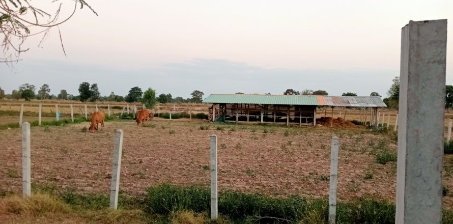 Land in Roi Et, Thailand 16000 sq.m. № 149148