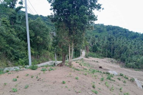 Terrain à Ko Samui, Thaïlande 1976 m2 № 167735 - photo 4