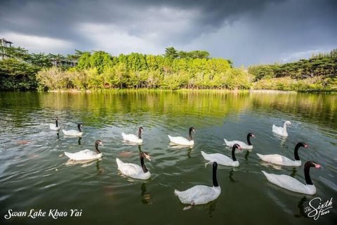 Villa à Pak Chong, Thaïlande 2 chambres № 167737 - photo 4