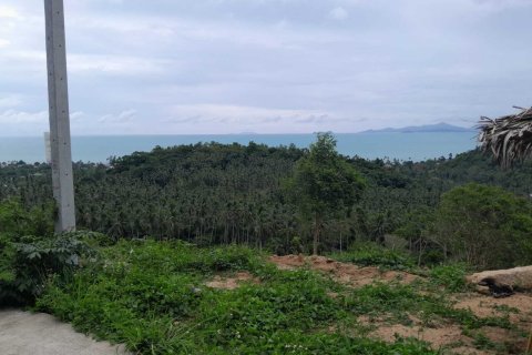 Terrain à Ko Samui, Thaïlande 2172 m2 № 167736 - photo 9