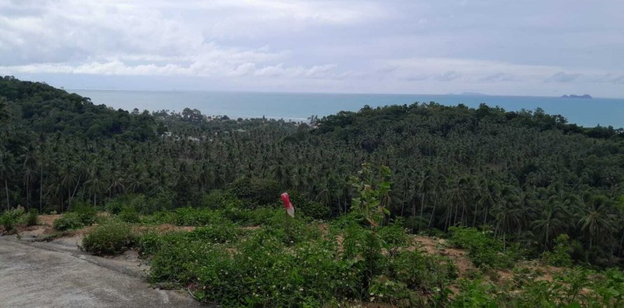 Terrain à Ko Samui, Thaïlande 2172 m2 № 167736