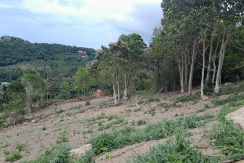 Terrain à Ko Samui, Thaïlande 2172 m2 № 167736 - photo 7