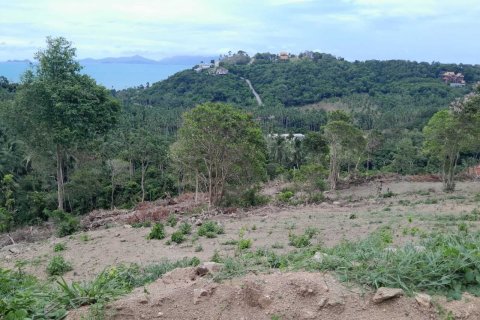 Terrain à Ko Samui, Thaïlande 2172 m2 № 167736 - photo 5