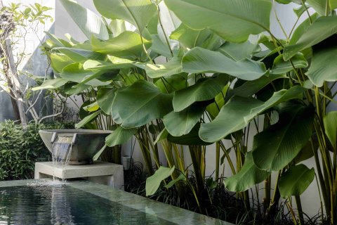 Villa à Phuket, Thaïlande 3 chambres № 156476 - photo 6