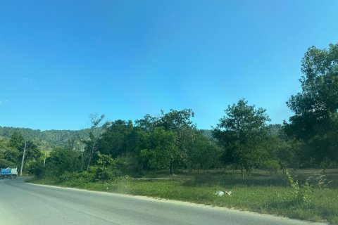 Земельный участок в Пхукете, Таиланд 35200м2 № 141541 - фото 11