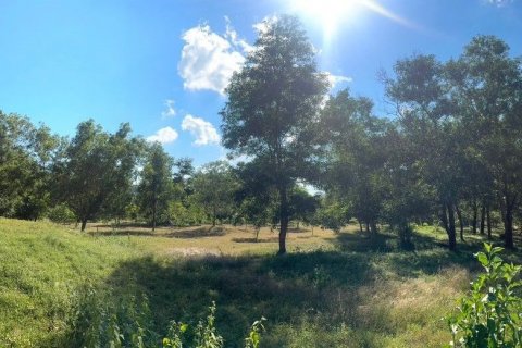 Земельный участок в Пхукете, Таиланд 35200м2 № 141541 - фото 13