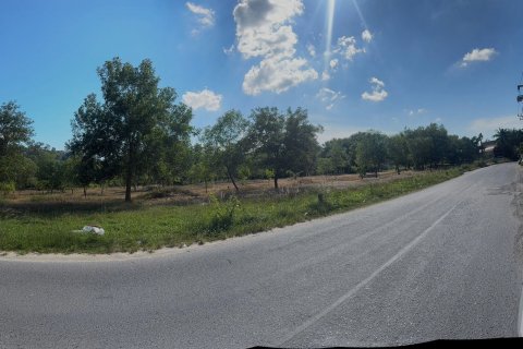 Земельный участок в Пхукете, Таиланд 35200м2 № 141541 - фото 14