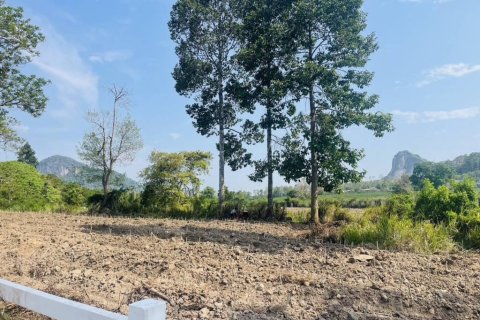 Land in Pattaya, Thailand № 146835 - photo 3