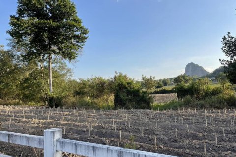 Land in Pattaya, Thailand № 146835 - photo 5