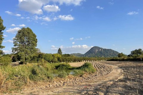 Land in Pattaya, Thailand № 146835 - photo 1