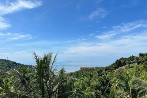 Land in Surat Thani, Thailand 500 sq.m. № 162206