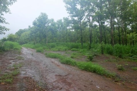 Земельный участок в Чиангмае, Таиланд № 162469 - фото 3