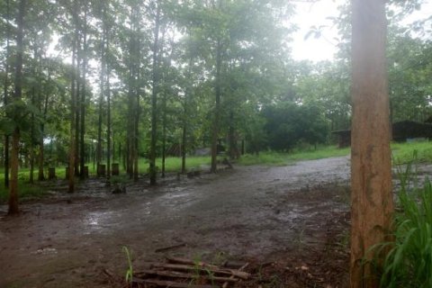 Земельный участок в Чиангмае, Таиланд № 162469 - фото 5