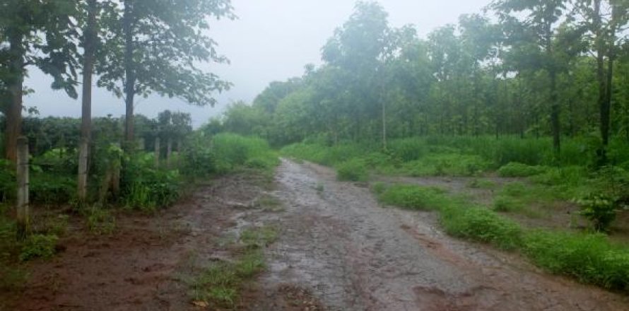 Земельный участок в Чиангмае, Таиланд № 162469