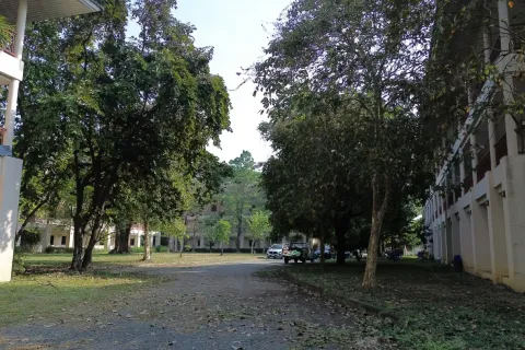 Коммерческая недвижимость в Чиангмае, Таиланд  № 162793 - фото 8