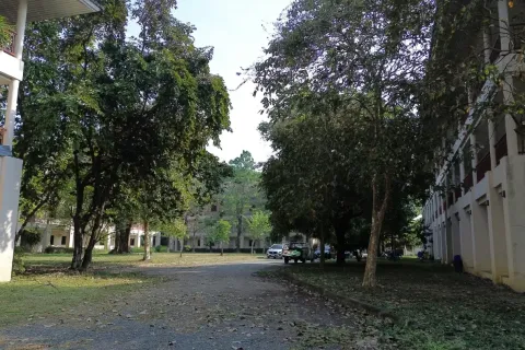 Propriété commerciale à Chiang Mai, Thaïlande № 162793 - photo 8