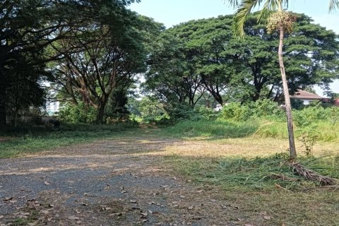 Propriété commerciale à Chiang Mai, Thaïlande № 162793 - photo 16