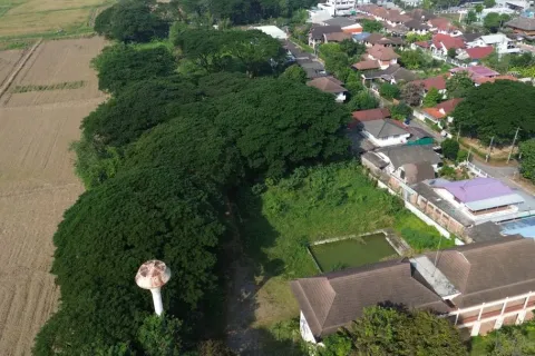 Коммерческая недвижимость в Чиангмае, Таиланд  № 162793 - фото 2