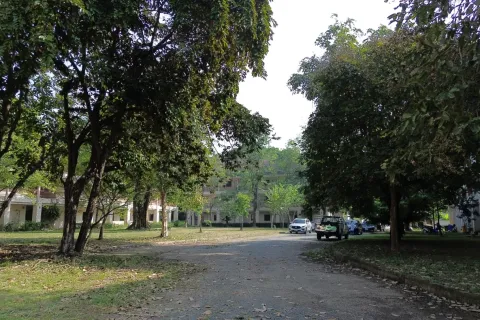 Коммерческая недвижимость в Чиангмае, Таиланд  № 162793 - фото 9