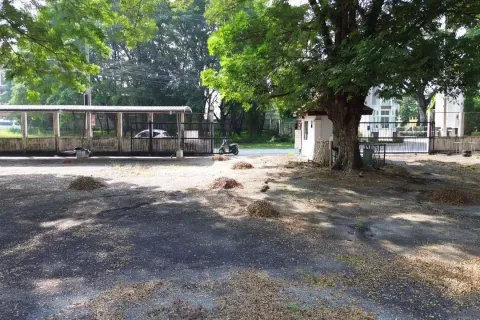 Земельный участок в Чиангмае, Таиланд № 162792 - фото 4