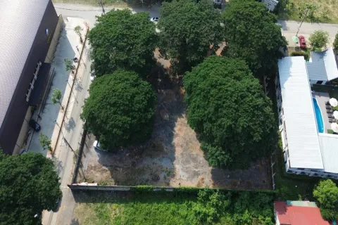 Земельный участок в Чиангмае, Таиланд № 162792 - фото 9