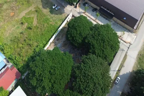 Land in Chiang Mai, Thailand № 162792 - photo 12