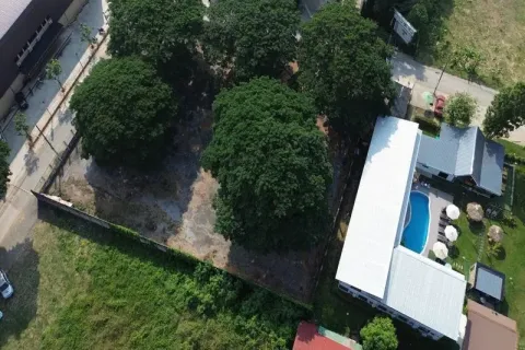 Land in Chiang Mai, Thailand № 162792 - photo 10