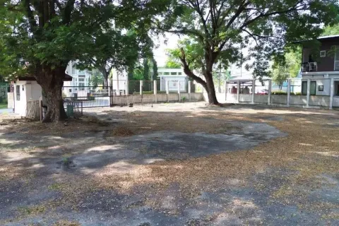 Земельный участок в Чиангмае, Таиланд № 162792 - фото 5