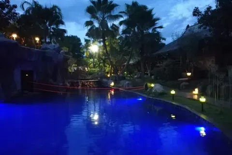 Propriété commerciale à Chiang Mai, Thaïlande № 162795 - photo 25