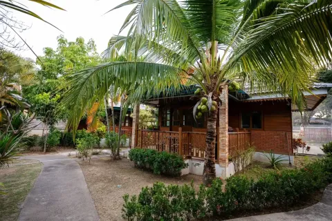 Propriété commerciale à Chiang Mai, Thaïlande № 162794 - photo 4