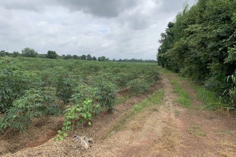 Terrain à Kabin Buri, Thaïlande 64000 m2 № 156736 - photo 9