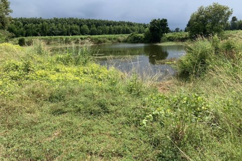 Terrain à Kabin Buri, Thaïlande 64000 m2 № 156736 - photo 7
