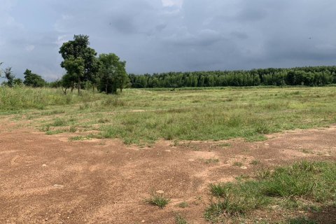 Terrain à Kabin Buri, Thaïlande 64000 m2 № 156736 - photo 17