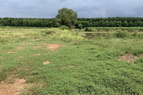 Terrain à Kabin Buri, Thaïlande 64000 m2 № 156736 - photo 18
