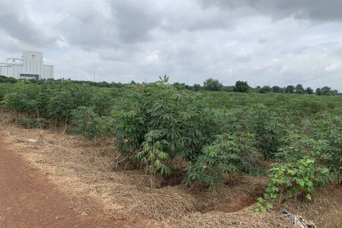 Terrain à Kabin Buri, Thaïlande 64000 m2 № 156736 - photo 4