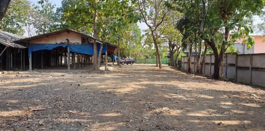 Land in San Kamphaeng, Thailand 9008 sq.m. № 157923